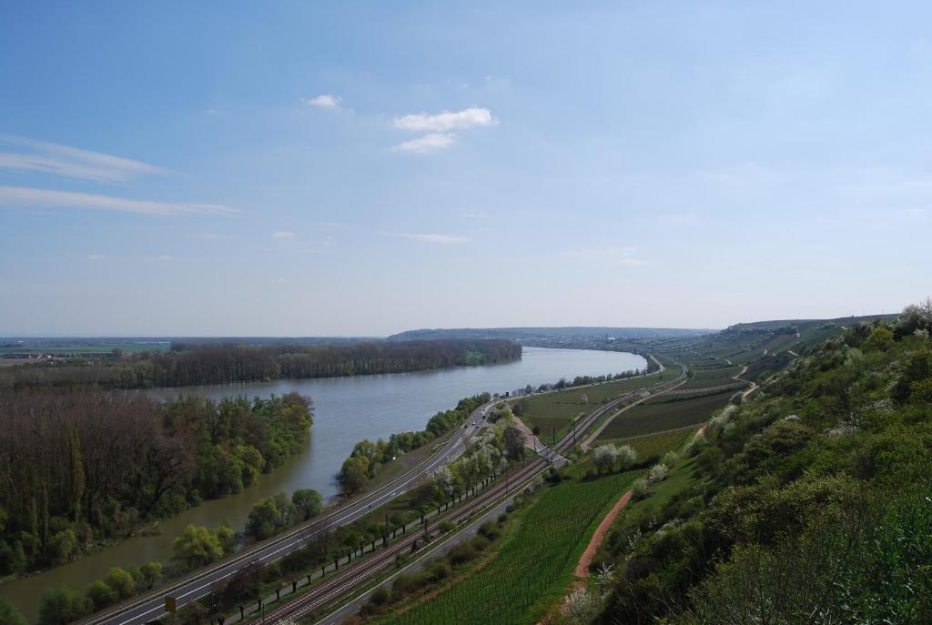 Landhotel St. Gereon Nackenheim Esterno foto